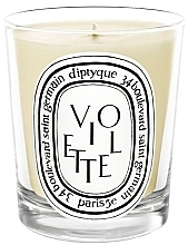 Scented Candle - Diptyque Violette Candle — photo N4