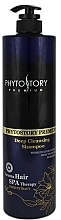 Fragrances, Perfumes, Cosmetics Deep Cleansing Shampoo - Phytostory Premium Deep Cleansing Shampoo