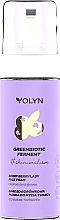 Blueberry Face Cleansing Foam - Yolyn #skinimalism Berry Berry Lady Face Foam — photo N1