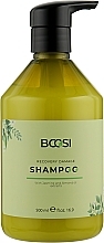 Fragrances, Perfumes, Cosmetics Repairing Shampoo - Kleral System Bcosi Recovery Danage Shampoo