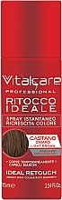 Instant Color Restoration Spray - VitalCare Ideal Retouch Instant Spray Colour — photo N1