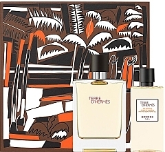 Fragrances, Perfumes, Cosmetics Hermes Terre dHermes - Set (edt/100ml + sh/g/80ml)