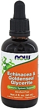 Echinacea & Goldenseal Glycerite Dietary Supplement - Now Foods Echinacea & Goldenseal Glycerite — photo N1