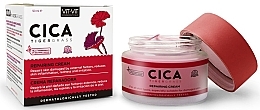 Soothing Face Concentrate - Diet Esthetic Cica Cream — photo N1