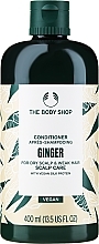 Anti-Dandruff Conditioner - The Body Shop Ginger Anti-Dandruff Conditioner — photo N1