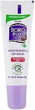 Moisturizing Lip Balm - Himani Boro Plus — photo N1