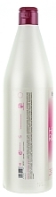 Anti-Aging Repairing Shampoo - Salerm Hi-Repair Shampoo — photo N4