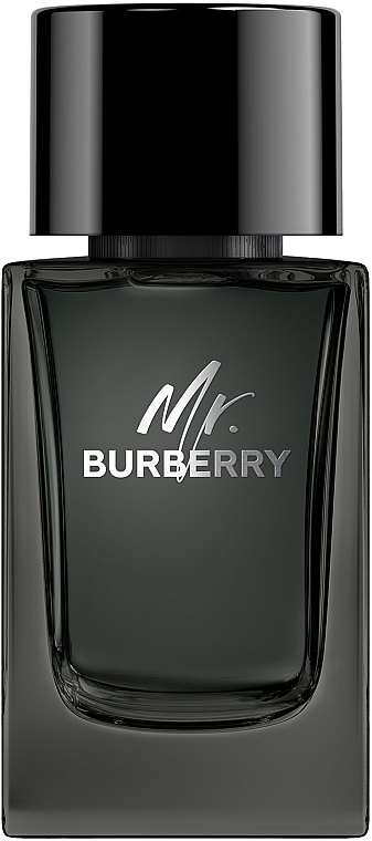 Burberry Mr. Burberry - Eau de Parfum — photo N1