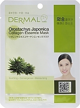 Fragrances, Perfumes, Cosmetics Collagen and Orostachys Japonica Extract Mask - Dermal Orostachys Japonica Collagen Essence Mask