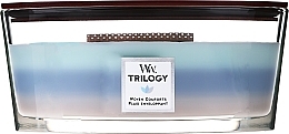 Scented Candle - Woodwick Trilogy Woven Comforts Ellipse — photo N2