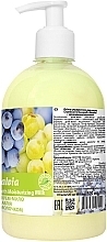 Liquid Cream Soap "Grape & Sage" - Bioton Cosmetics Active Fruits Grape & Salvia Soap — photo N2