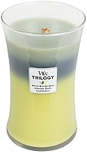 Fragrances, Perfumes, Cosmetics Scented Candle in Glass - WoodWick Hourglass Trilogy Candle Woodland Shade