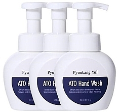 Fragrances, Perfumes, Cosmetics Set - Pyunkang Yul ATO Hand Wash (h/wash/3x250ml)