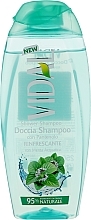 Fragrances, Perfumes, Cosmetics 2in1 Refreshing Shower Gel - Vidal Shower Shampoo