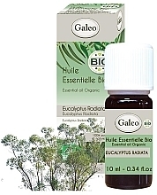 Essential Oil Set "Winter" - Galeo Vital Oils For Winter (ess/oil/3x10ml) — photo N31