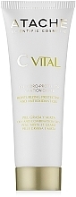 Moisturizing & Protective Antioxidant Gel for Oily & Combination Skin - Atache C Vital Cream-Gel Oily & Combination Skin — photo N2