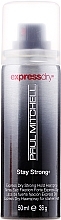 Dry Stay Strong Hold Hair Spray - Paul Mitchell Express Dry Stay Strong Hairspray — photo N1