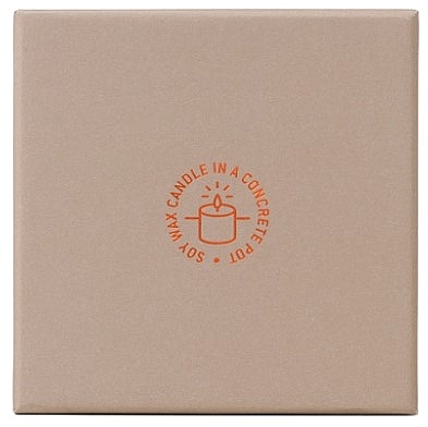 Scented Candle, 3 wicks - Gentleme's Hardware Soy Wax Candle 589 Mountain Sage — photo N3