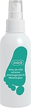 Anti Fungus Deodorant Foot Spray - Ziaja Foot Spray — photo N3