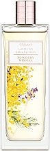 Oriflame Women's Collection Powdery Mimosa - Eau de Toilette — photo N1