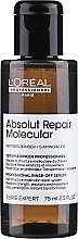 GIFT! Professional Concentrated Pre-Shampoo with Peptide Bonder - L'Oreal Professionnel Serie Expert Absolut Repair Molecular Concentrated Pre-Shampoo — photo N1