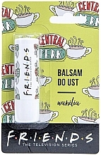 Vanilla Lip Balm - Friends Vanilla Lip Balm — photo N1