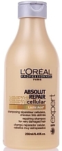 Fragrances, Perfumes, Cosmetics Shampoo - L'Oreal Professionnel Absolut Repair Shampoo