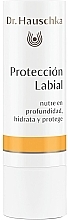 Regenerating Lip Balm - Dr. Hauschka Lip Care Stick — photo N2