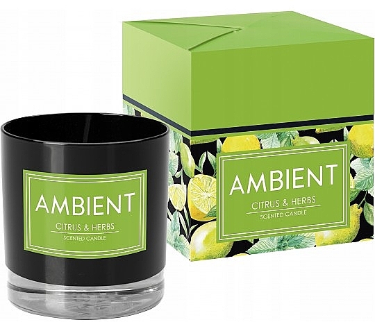 Citrus Fruits & Herbs Scented Candle - Bispol Ambient Citrus & Herbs Candles — photo N1