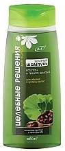 Fragrances, Perfumes, Cosmetics Chestnut & Ginkgo Biloba Shampoo - Bielita Chestnut and Ginkgo Biloba Shampoo