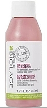 Fragrances, Perfumes, Cosmetics Repair Shampoo for Damaged Hair - Biolage R.A.W. Recover Shampoo