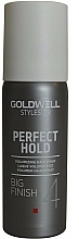 Strong Hold Volume Spray - Goldwell Style Sign Perfect Hold Big Finish Volumizing Hairspray — photo N7