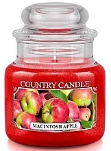 Fragrances, Perfumes, Cosmetics Scented Candle in Jar - Country Candle Macintosh Apple