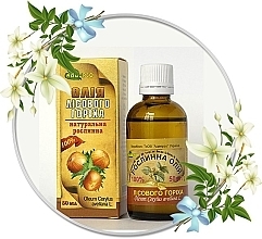 Fragrances, Perfumes, Cosmetics Natural Hazelnut Oil - Adverso