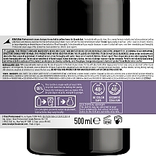 Purple Cream Shampoo - L'Oreal Professionnel Serie Expert Chroma Creme Professional Shampoo Purple Dyes — photo N28