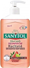 Liquid Pink Grapefruit & Lime Soap - Sanytol  — photo N1