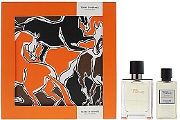 Fragrances, Perfumes, Cosmetics Hermes Terre d'Hermes - Set (edt/50ml + sh/gel/40ml)