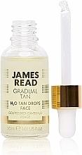 Concentrated Drops "Refreshing Glow" - James Read Gradual Tan H2O Tan Drops Face — photo N1