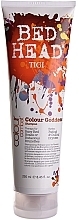 Fragrances, Perfumes, Cosmetics Brunette Shampoo - Tigi Bed Head Colour Combat Colour Goddess Shampoo