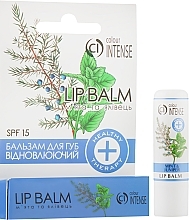 Fragrances, Perfumes, Cosmetics Softening Lip Balm 'Mint and Juniper' - Colour Intense Lip Mint And Juniper Balm