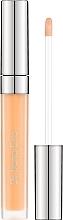 Lip Gloss "Ultimate Shine" - Dr Irena Eris Ultimate Shine Lip Gloss — photo N2