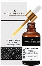 Fragrances, Perfumes, Cosmetics Face Serum - Chantarelle Plant Plazma
