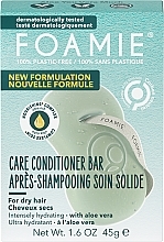 Fragrances, Perfumes, Cosmetics Dry Hair with Aloe Vera Bar Conditioner - Foamie Aloe You Vera Much Care Conditioner Bar