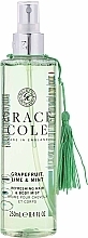 Fragrances, Perfumes, Cosmetics Grapefruit Lime & Mint Body Mist - Grace Cole Boutique Body Mist Grapefruit Lime & Mint