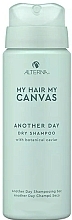 Dry Shampoo - Alterna My Hair My Canvas Another Day Dry Shampoo — photo N3