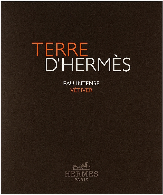 Terre D'Hermes Eau Intense Vetiver - Set (edp/100ml + sh/gel/80ml) — photo N1