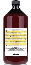 Fragrances, Perfumes, Cosmetics Nourishing Damaged Hair Serum - Davines Natural tech Nourishing RM