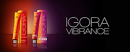 Ammonia-Free Hair Color - Schwarzkopf Professional Igora Vibrance  — photo N17