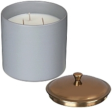 Scented Candle 'Vetiver & Cardamom', 3 wicks - Paddywax Hygge Ceramic Candle Grey Vetiver & Cardamom — photo N2