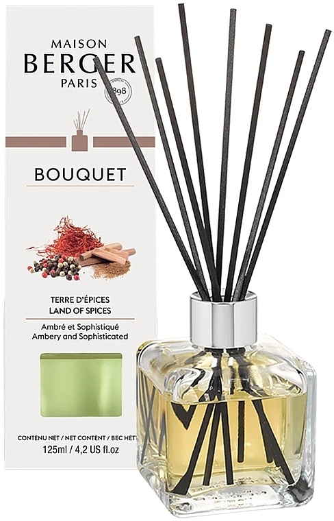 Maison Berger Cube Land of Spices - Fragrance Diffuser — photo N1